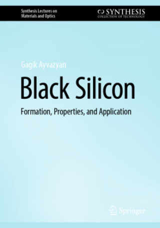 Buch Black Silicon Gagik Ayvazyan