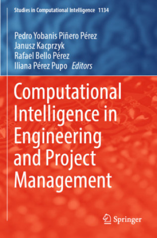 Boek Computational Intelligence in Engineering and Project Management Pedro Yobanis Piñero Pérez