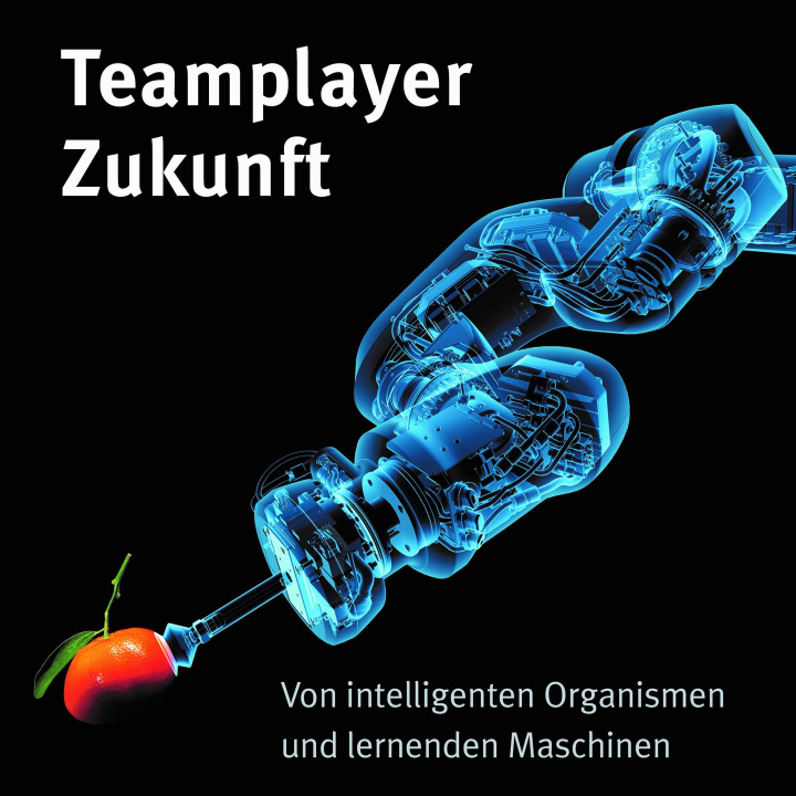 Knjiga Teamplayer Zukunft 
