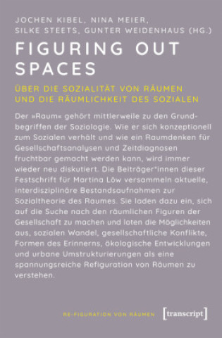 Knjiga Figuring Out Spaces Nina Meier