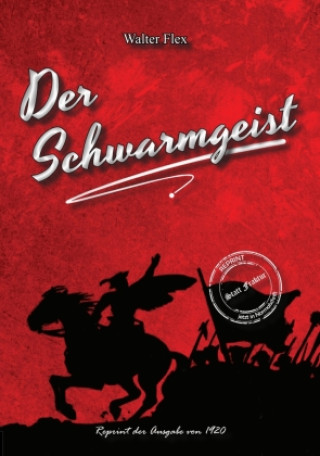 Knjiga Der Schwarmgeist Walter Flex