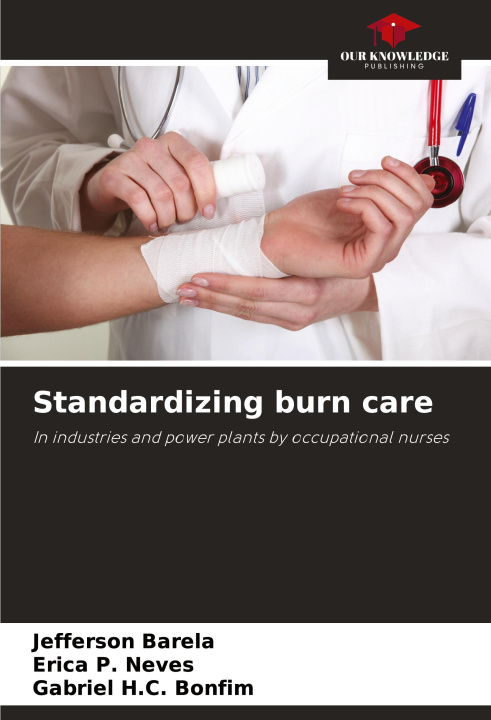 Knjiga Standardizing burn care Erica P. Neves