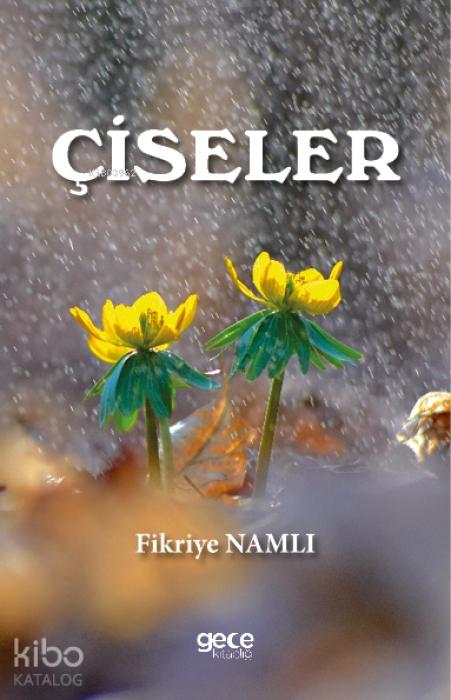 Kniha Ciseler 