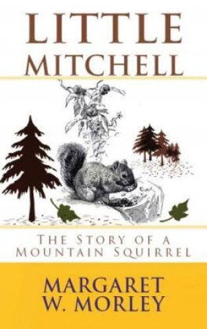 Kniha Little Mitchell Margaret W. Morley