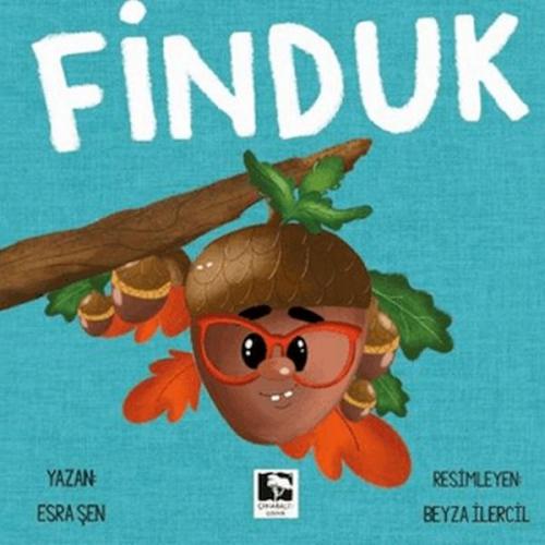 Kniha Finduk 