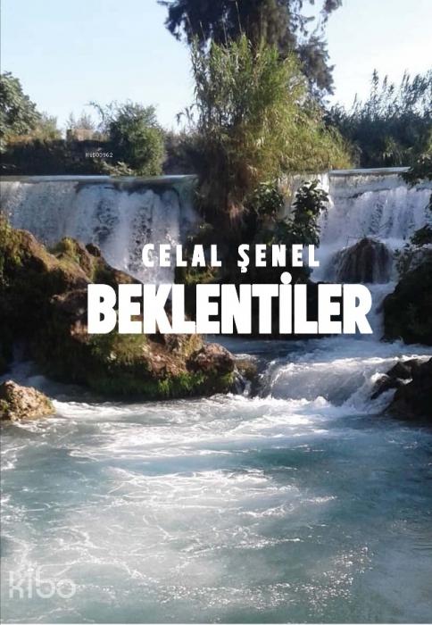 Kniha Beklentiler 