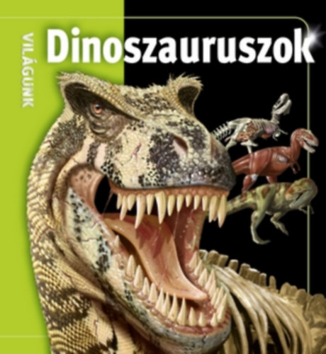 Knjiga Dinoszauruszok 