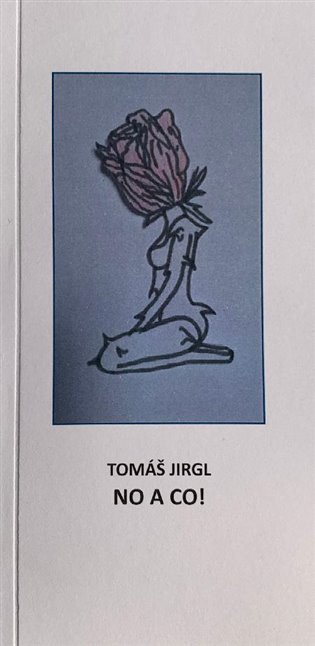 Knjiga No a co! Tomáš Jirgl