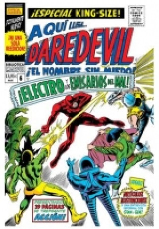 Knjiga BIBLIOTECA MARVEL 79 DAREDEVIL 06 Lee Stan