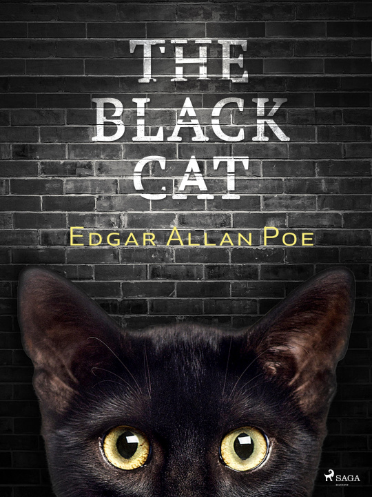E-kniha Black Cat Edgar Allan Poe