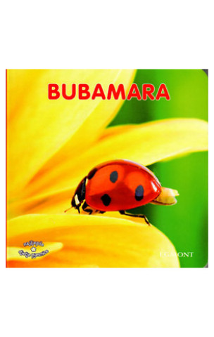 Kniha KT N Bubamara 