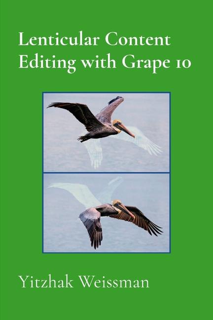 Kniha Lenticular Content Editing with Grape 10 Yitzhak Weissman