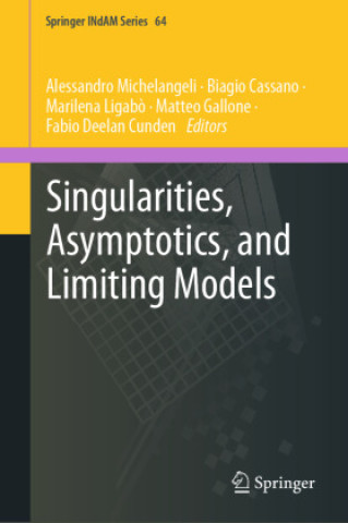 Boek Singularities, Asymptotics, and Limiting Models Biagio Cassano