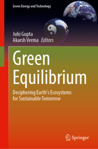 Knjiga Green Equilibrium Juhi Gupta
