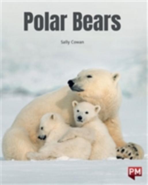 Boek Polar Bears 