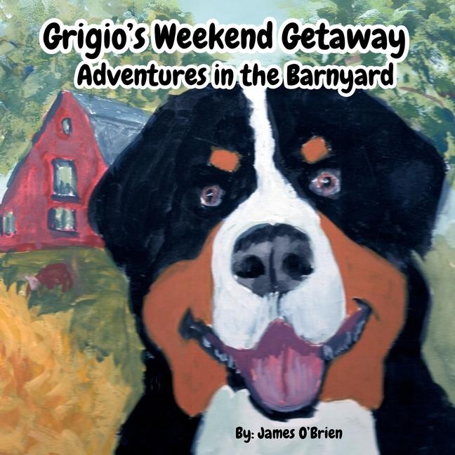 Kniha Grigio's Weekend Getaway Jill D O'Brien