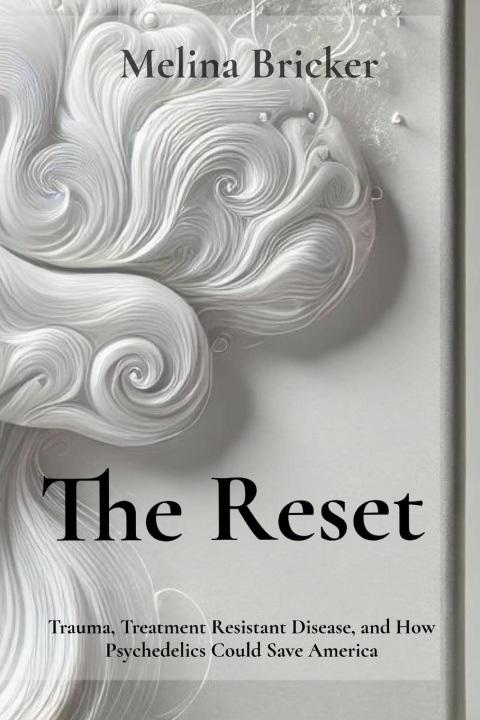 Knjiga The Reset Melina Bricker