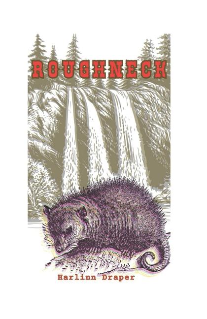 Kniha Roughneck Harlinn Draper