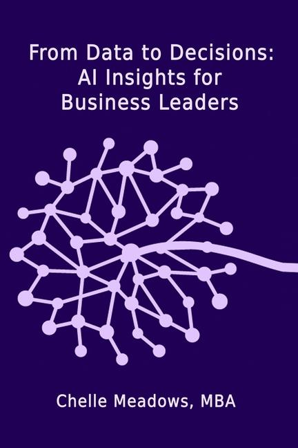 Kniha From Data to Decisions Chelle Meadows MBA