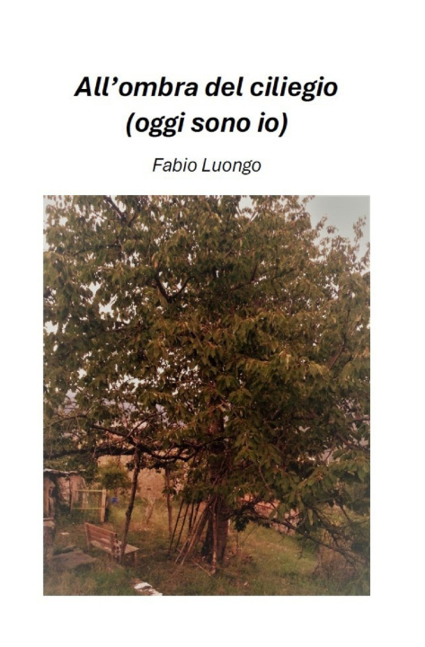 Kniha All'ombra del ciliegio Fabio Luongo