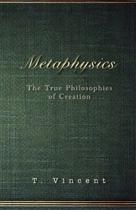 Kniha Metaphysics Tyler W Vincent