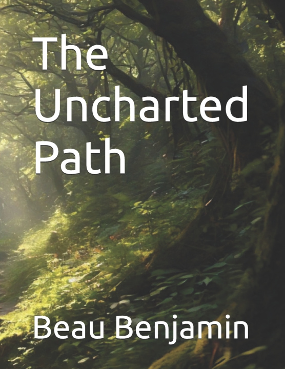 Kniha The Uncharted Path Beau Benjamin