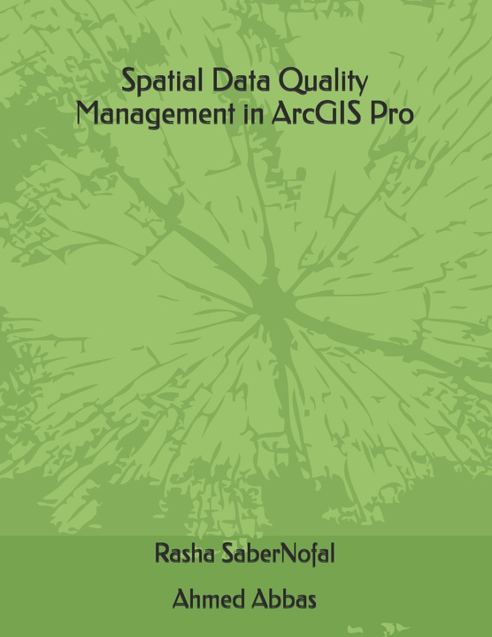 Kniha Spatial Data Quality Management in ArcGIS Pro Rasha Saber Nofal Abedelkawy Nofal