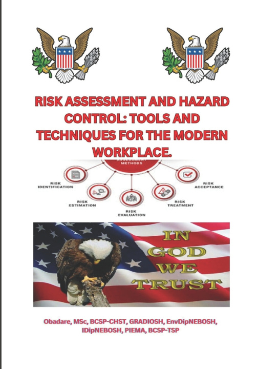 Kniha Risk Assessment and Hazard Control Adewole Obadare