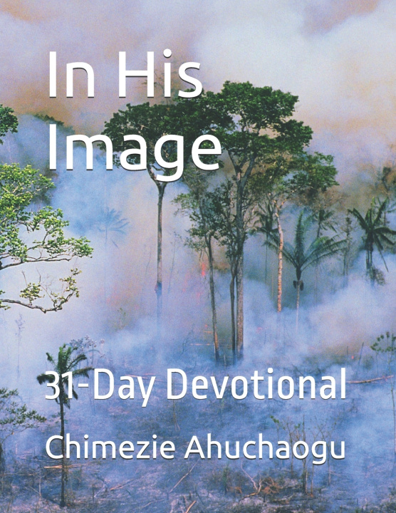 Kniha In His Image Chimezie Godwin Ahuchaogu