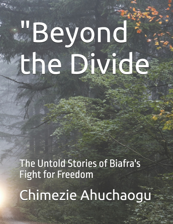 Kniha "Beyond the Divide Chimezie Godwin Ahuchaogu