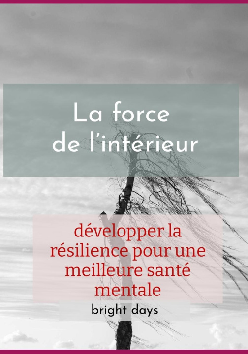 Kniha La force de l'intérieur bright days