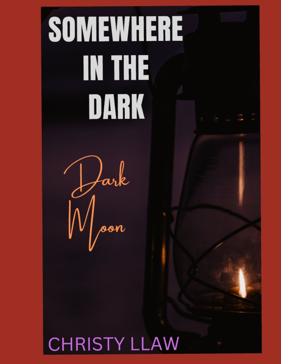 Kniha Somewhere in the Dark CHRISTY LLAW