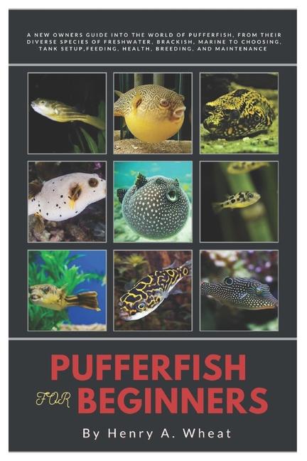 Kniha Pufferfish for Beginners Henry A. Wheat