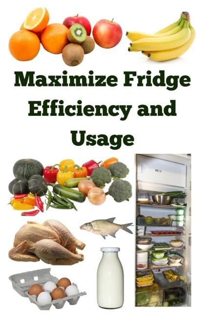 Kniha Maximize Fridge Efficiency and Usage Zulfiqar Khan
