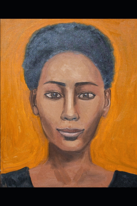 Kniha African Shade John Swofford