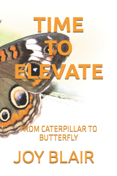 Kniha Time to Elevate JOY BLAIR