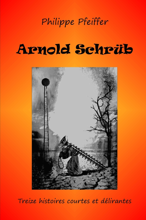 Knjiga Arnold Schrüb Philippe Pfeiffer