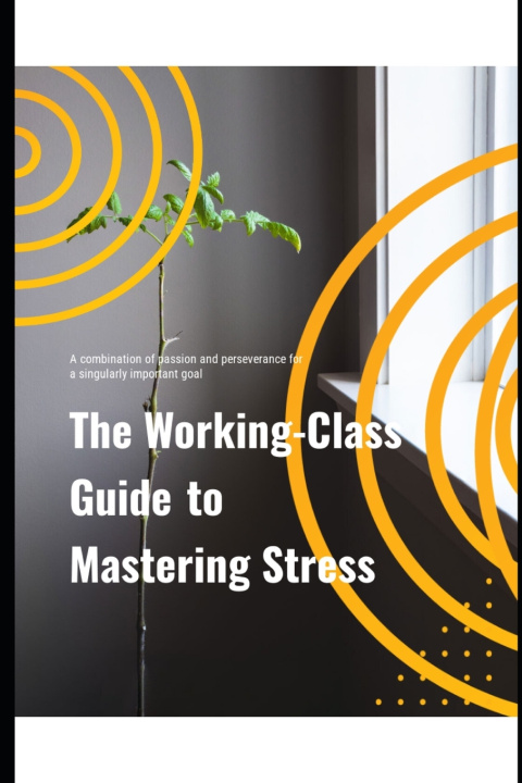 Kniha The Working Class Guide to Mastering Stress Janet Stephen