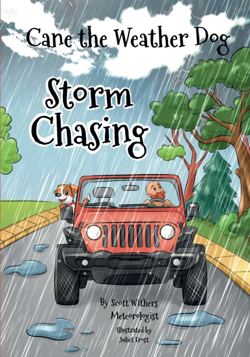 Kniha Storm Chasing Juliet Frost