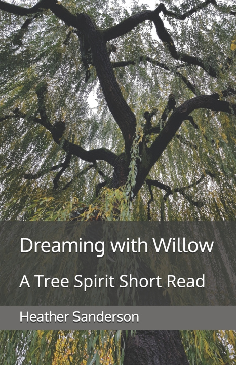 Knjiga Dreaming with Willow Heather Sanderson