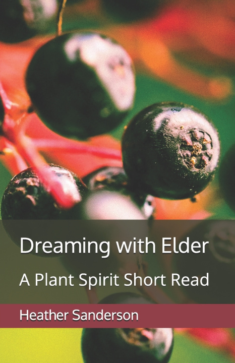 Kniha Dreaming with Elder Heather Sanderson
