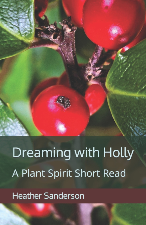 Knjiga Dreaming with Holly Heather Sanderson