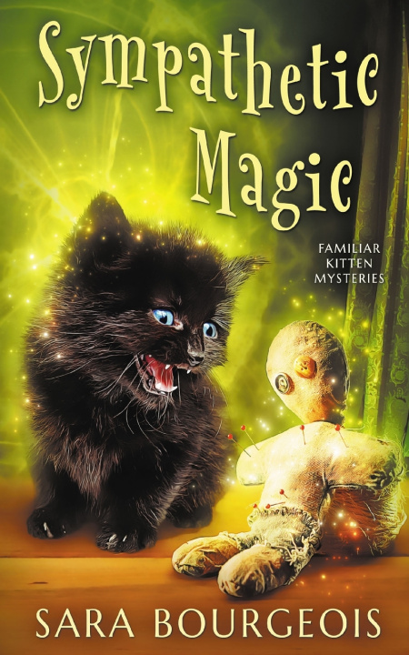 Kniha Sympathetic Magic Sara Bourgeois