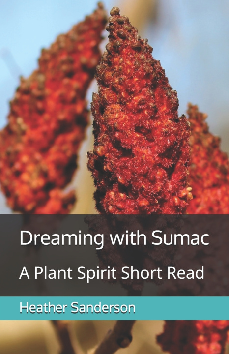 Kniha Dreaming with Sumac Heather Sanderson