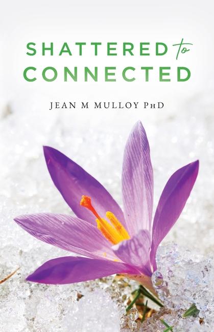 Kniha Shattered to Connected Jean M Mulloy PhD