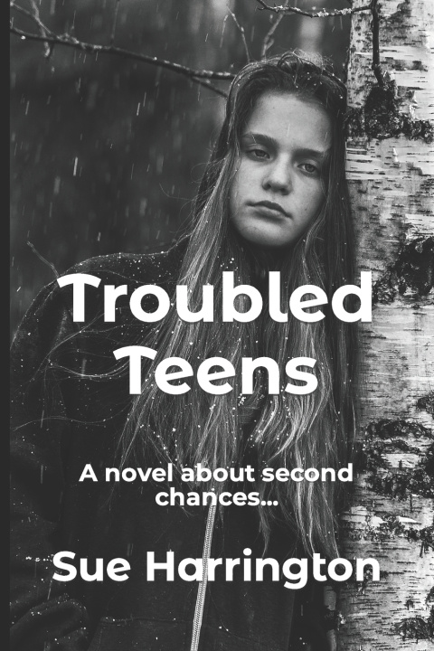 Kniha Troubled Teens Susan Rheingruber