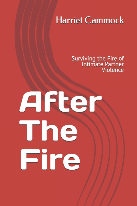 Kniha After The Fire Alexandra McLenan