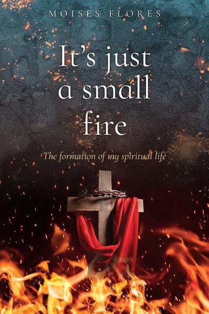 Knjiga It's just a small fire Moises Flores