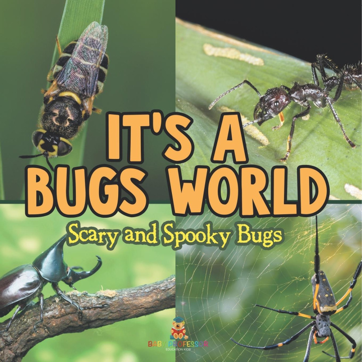 Kniha Its A Bugs World Baby Professor