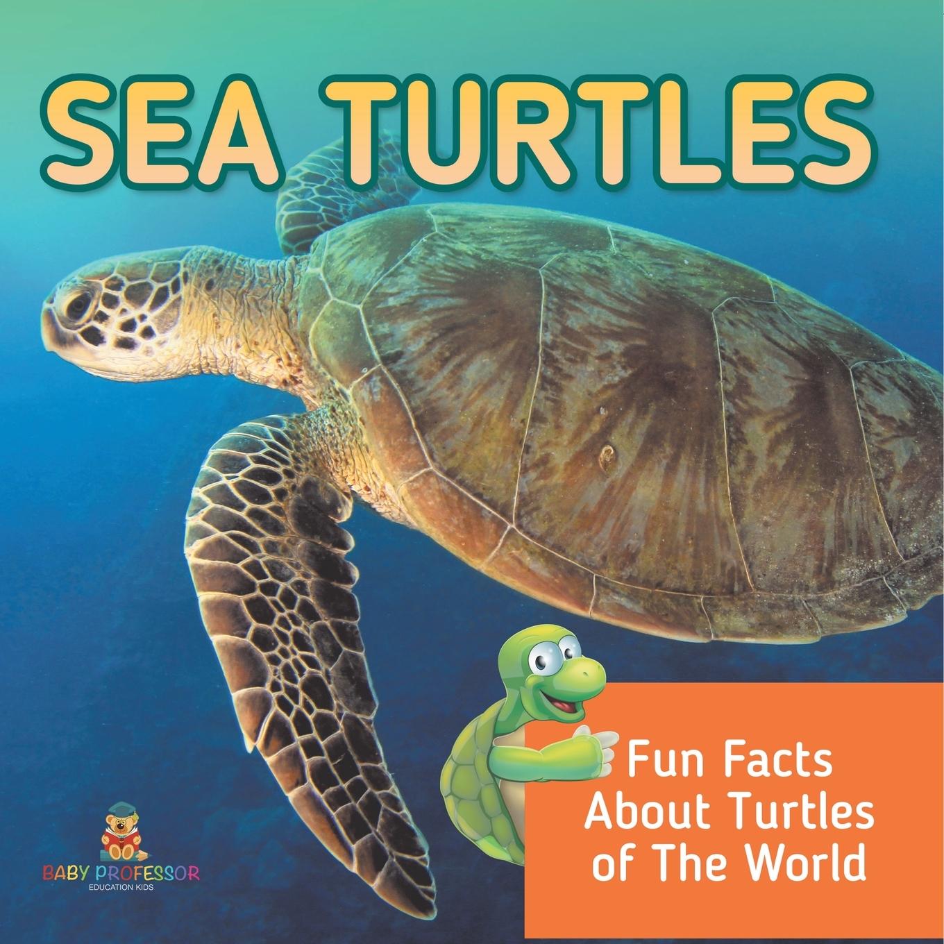 Kniha Sea Turtles Baby Professor